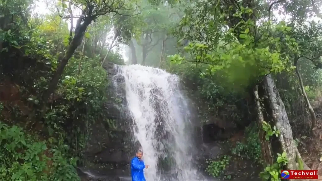 Bhadra Wildlife Sanctuary – भद्रा वाइल्डलाइफ सेंचुरी