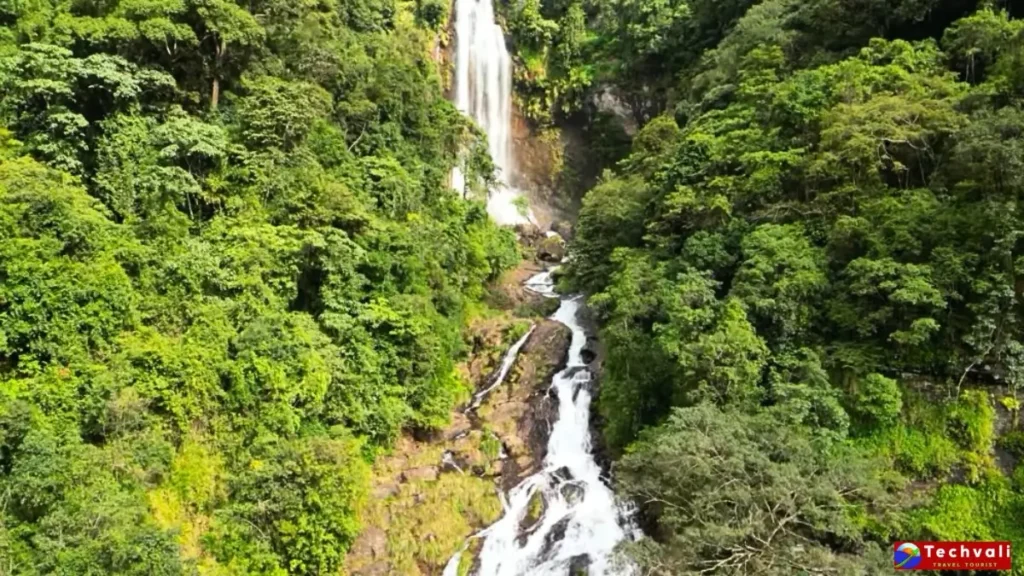 Jhari Waterfalls – झरी जलप्रपात