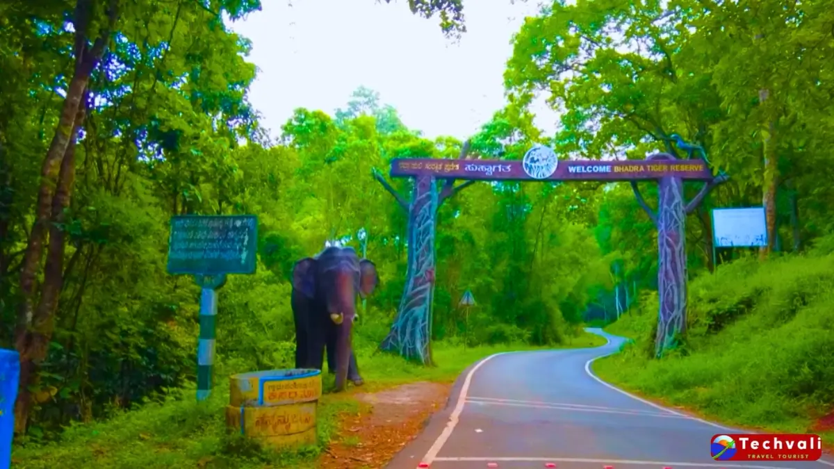 Wildlife Tourist Places Between Dharwad and Chikmagalur