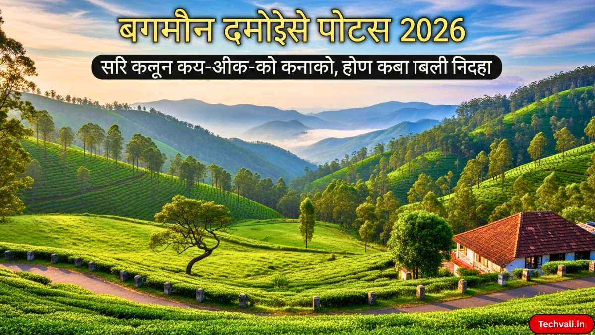 Vagamon Tourist Places 2026