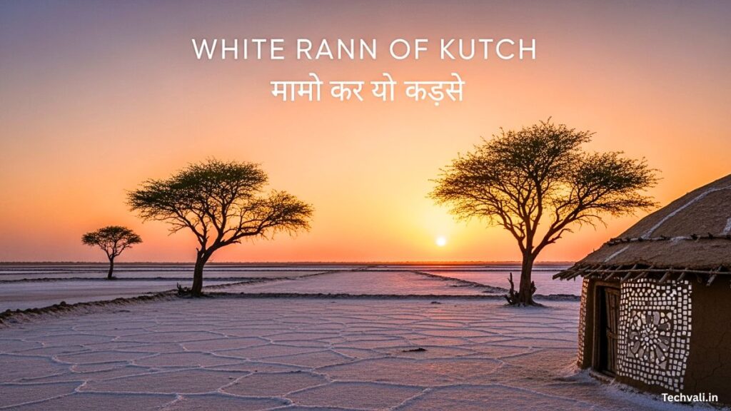 White Rann of Kutch सफेद रण मुख्य आकर्षण