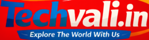 Techvali Professional Travel Services