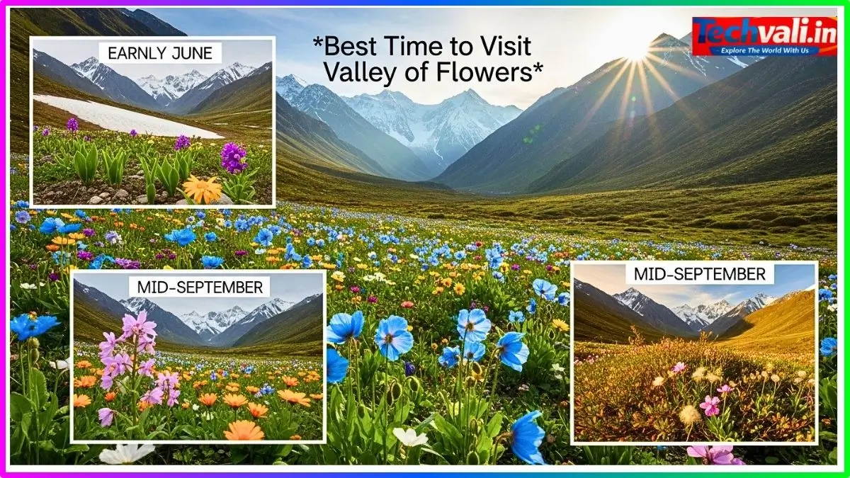 Best Time to Visit Valley of Flowers 2026 गलत Season में गए तो पछताएंगे